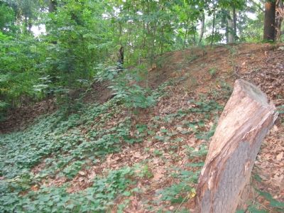 Fort Walls image. Click for full size.