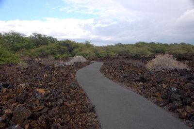 The beginning of the trail. Click for full size. The beginning of the trail image. Click for full size.