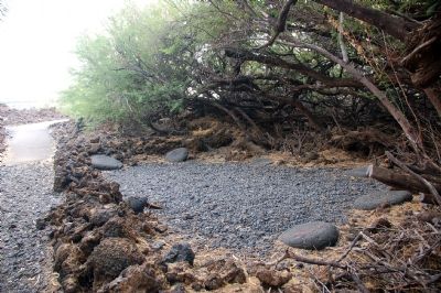 The trail continues and changes. Click for full size. The trail continues and changes image. Click for full size.