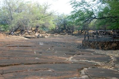 A large petroglyph field at the end of the trail image. Click for full size.