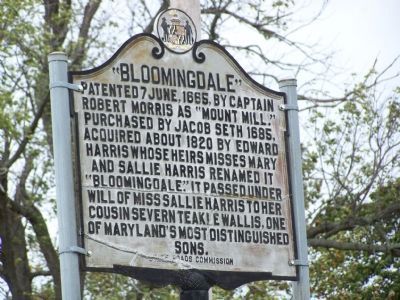"Bloomingdale" Marker. Click for full size. "Bloomingdale" Marker image. Click for full size.