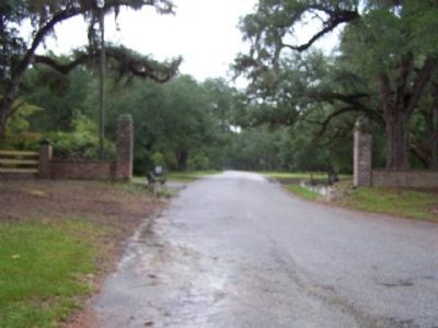 old Mepkin Plantation entrance. Click for full size. old Mepkin Plantation entrance image. Click for full size.