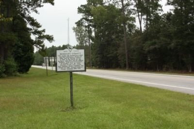 Berkeley County Marker, looking north along US 17A image. Click for full size.