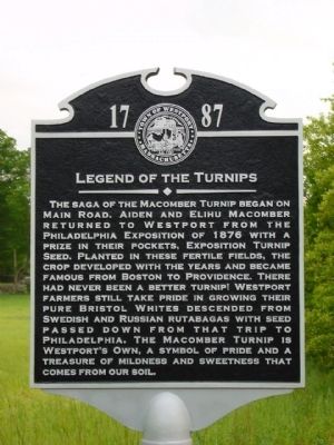 Legend of the Turnips Marker image. Click for more information.