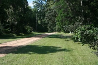 Vine Street. Click for full size. Vine Street image. Click for full size.