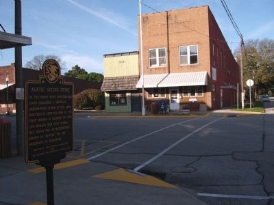 Looking North - - Auntie Gogin's Store Marker. Click for full size. Looking North - - Auntie Gogin's Store Marker image. Click for full size.