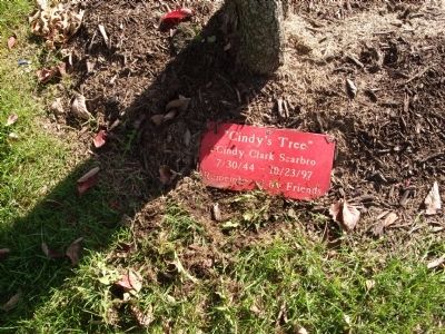 Plaque - - " Cindy's Tree " image. Click for full size.
