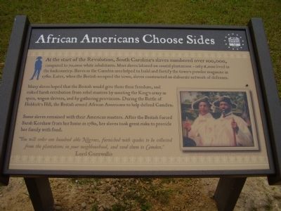 African Americans Choose Sides Marker image. Click for full size.