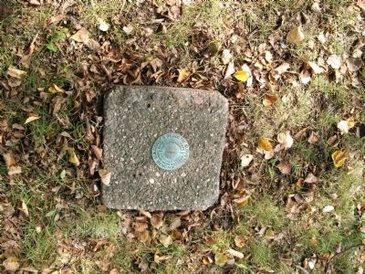 South West Lawn - - Geodetic Survey "Bench Mark" image. Click for full size.