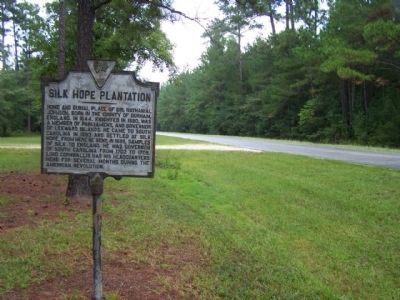 Silk Hope Plantation Marker looking north along State Road 402 image. Click for full size.