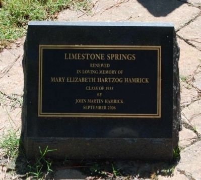 Limestone Springs Restoration image. Click for full size.