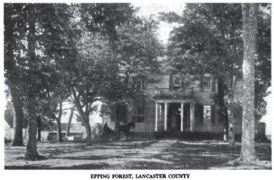 Epping Forest, Circa 1900. Click for full size. Epping Forest, Circa 1900 image. Click for full size.