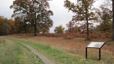 A Mass Capture Marker. Click for full size. A Mass Capture Marker image. Click for full size.