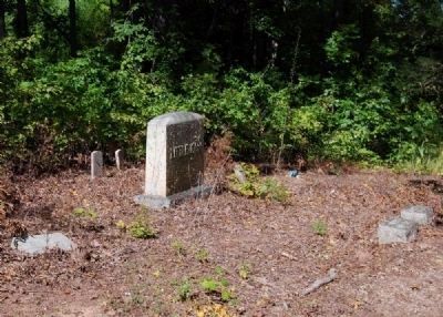 Mulberry Chapel Methodist Church Cemetery -<br>Littlejohn Plot. Click for full size. Mulberry Chapel Methodist Church Cemetery -<br>Littlejohn Plot image. Click for full size.