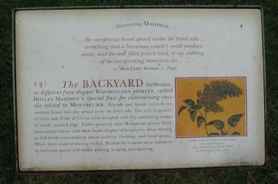 The Backyard Marker image. Click for full size.