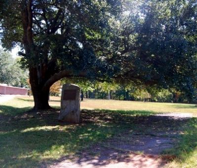 Littlejohn Family Reunion Marker image. Click for full size.