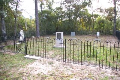 The McElveen Family Cemetery image. Click for full size.