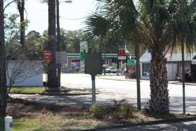 Brantley County Marker. looking south along US 301. Click for full size. Brantley County Marker. looking south along US 301 image. Click for full size.