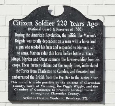 Citizen Soldier 220 Years Ago Marker image. Click for full size.