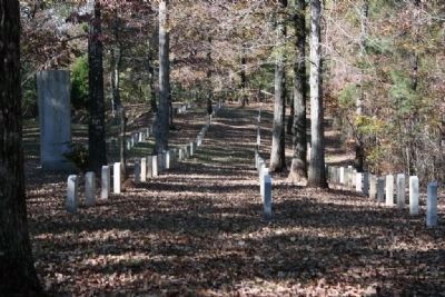 Shelby Springs Confederate Cemetery image. Click for full size.