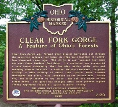 Clear Fork Gorge Marker image. Click for full size.