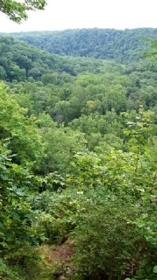 Clear Fork Gorge image. Click for full size.