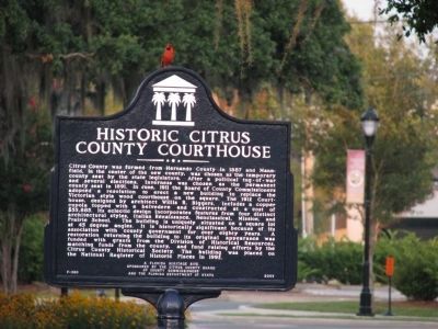 Historic Citrus County Courthouse Marker image. Click for full size.