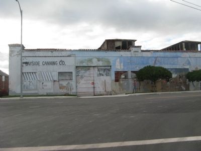 Bayside Cannery. Click for full size. Bayside Cannery image. Click for full size.
