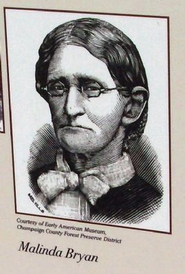 ' Malinda Bryan ' - - Marker Illustration. Click for full size. ' Malinda Bryan ' - - Marker Illustration image. Click for full size.
