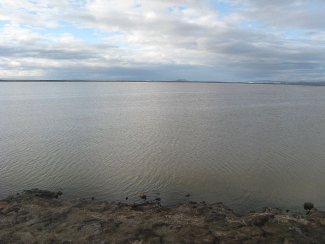 New Chicago Marsh. Click for full size. New Chicago Marsh image. Click for full size.