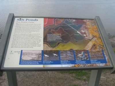 Salt Ponds Marker image. Click for full size.