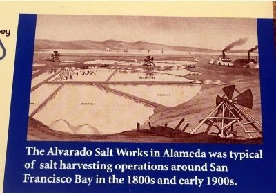 Alvarado Salt Works image. Click for full size.