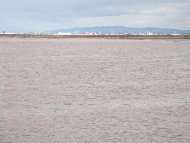 New Chicago Marsh image. Click for full size.
