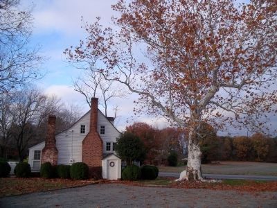 Sycamore trees gave the tavern its name image. Click for full size.