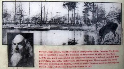 Forest Lodge image. Click for full size.