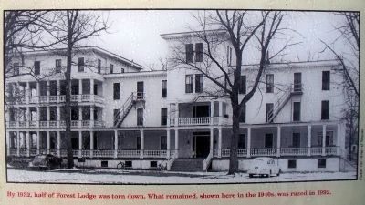 Forest Lodge. Click for full size. Forest Lodge image. Click for full size.