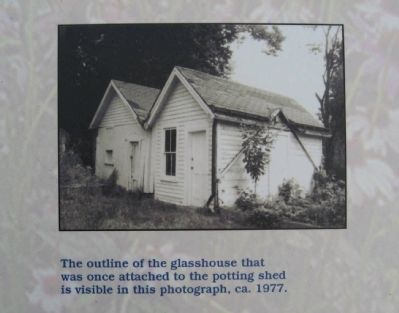 Glasshouse Remains. Click for full size. Glasshouse Remains image. Click for full size.