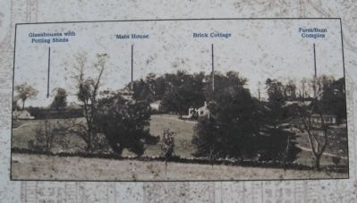 1900 Photograph. Click for full size. 1900 Photograph image. Click for full size.