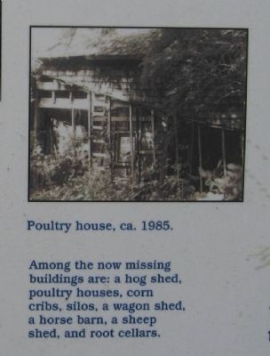 Poultry House, ca. 1985 image. Click for full size.