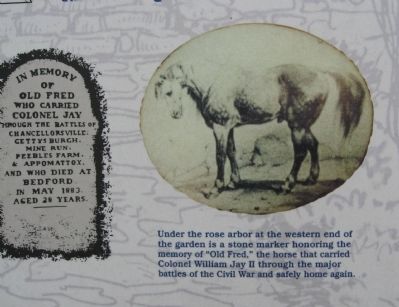 Old Fred. Click for full size. Old Fred image. Click for full size.