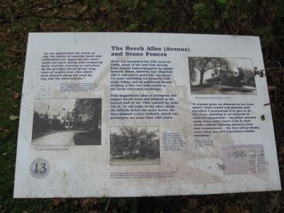 The Beech Allee (Avenue) and Stone Fences Marker image. Click for full size.