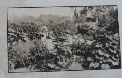 Children in the Garden. Click for full size. Children in the Garden image. Click for full size.