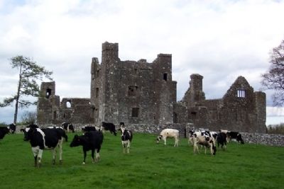 Bective Abbey / Mainistir Bheigtí. Click for full size. Bective Abbey / Mainistir Bheigtí image. Click for full size.