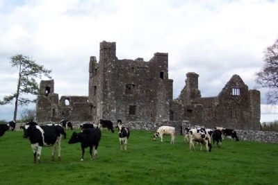 Bective Abbey / Mainistir Bheigt image. Click for full size.