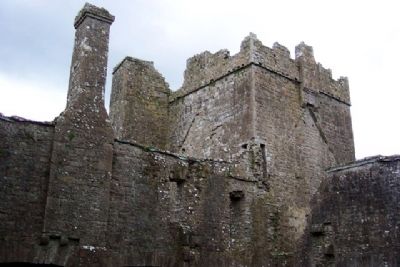 Bective Abbey Tower from Interior. Click for full size. Bective Abbey Tower from Interior image. Click for full size.