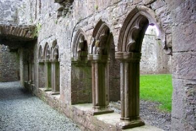 Bective Abbey Cloister Arches. Click for full size. Bective Abbey Cloister Arches image. Click for full size.
