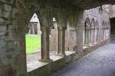 Bective Abbey Cloister Arches image. Click for full size.