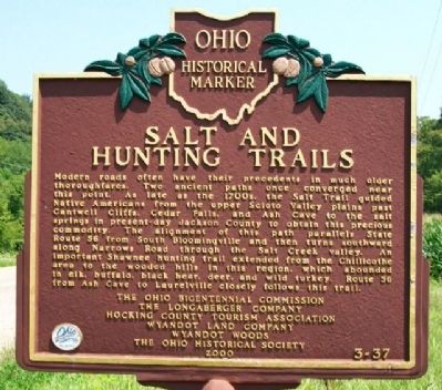 Salt and Hunting Trails Marker image. Click for full size.