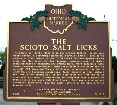 The Scioto Salt Licks Marker (Side A) image. Click for full size.