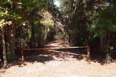 Captain William Henry Mouzon, current path near marker. Click for full size. Captain William Henry Mouzon, current path near marker image. Click for full size.